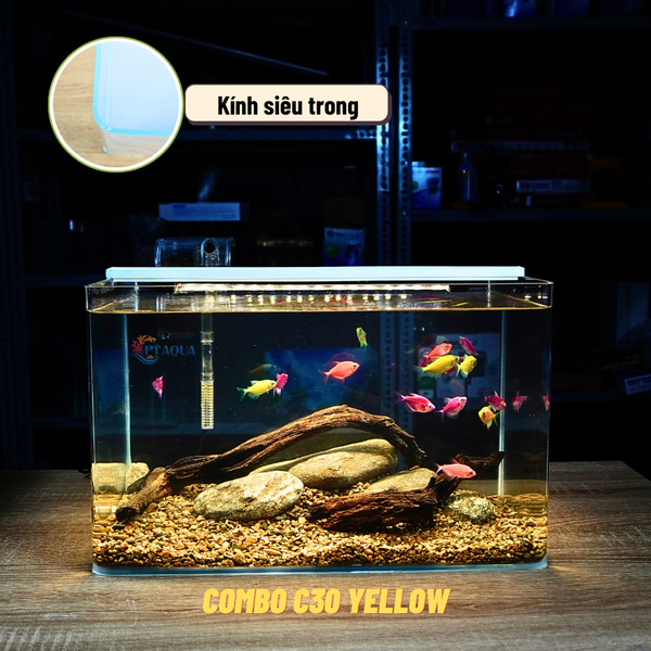 Bể Cá Mini Để Bàn ĐÚC SIÊU TRONG 40x24x25cm Phù Hợp Nuôi Cá , Làm Hồ Thuỷ Sinh Mini