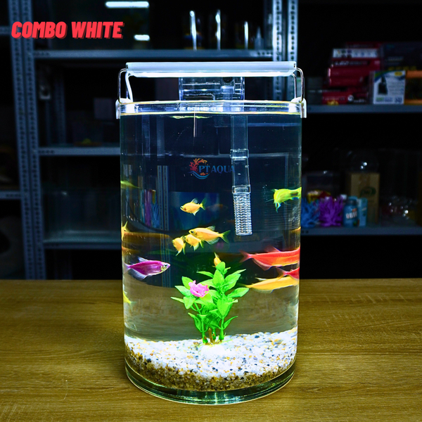 Bể cá mini tròn để bàn D20-H30cm chọn theo combo nhiều mẫu kèm phụ kiện