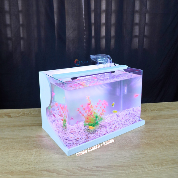 Bể cá mini Đúc uốn cong 35x21x23cm để bàn Với nhiều mẫu lựa chọn có kèm phụ kiện sỏi nền và cây nhựa