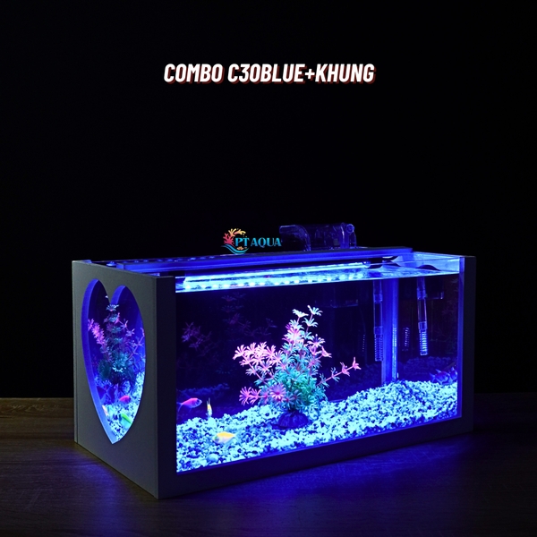 Bể cá mini 40cm COMBO đầy đủ CHỌN MẪU phù hợp nuôi cá cảnh mini để bàn