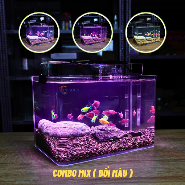 Bể Cá Mini Để Bàn ĐÚC SIÊU TRONG 25x16x18cm Phù Hợp Nuôi Cá , Làm Hồ Thuỷ Sinh Mini