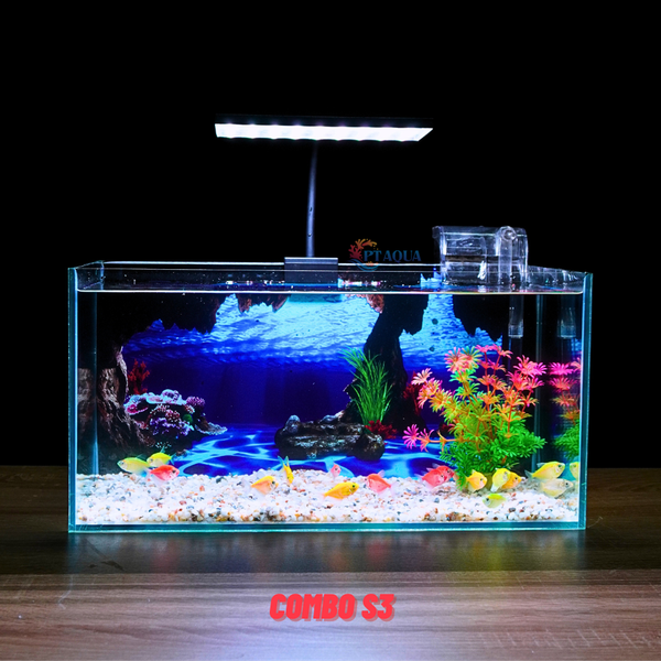 Bể cá Mini Để Bàn Có Tranh Dán  Kích Thước D40cm x R20cm x C20cm  Giúp Hồ Cá Đẹp Hơn