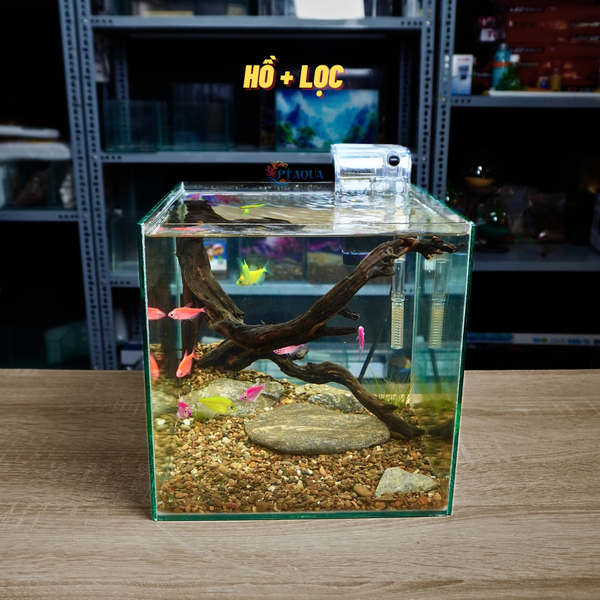 Bể cá mini CUBIC 25cm để bàn