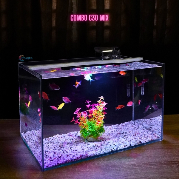 Bể cá mini để bàn D40*R25*C25 phù hợp nuôi cá cảnh mini thủy sinh phong thủy