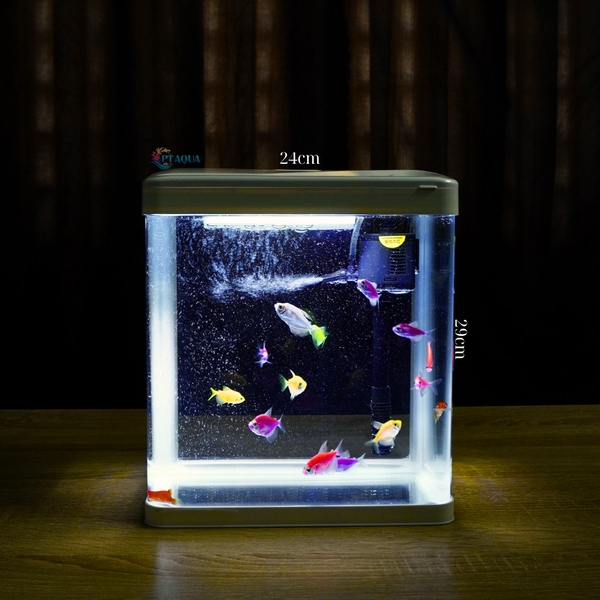 Bể Cá Mini Đúc Nguyên Khối 24cm Combo Đầy Đủ Phụ Kiện