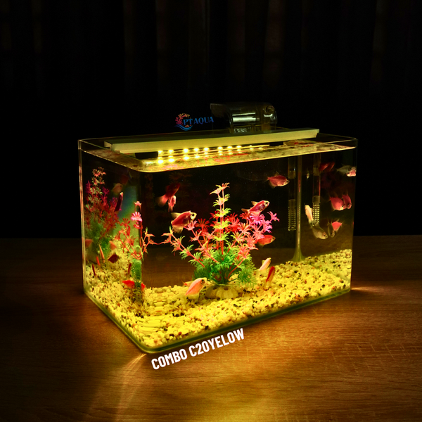 Bể cá mini Đúc uốn cong 30x18x20cm để bàn Với nhiều mẫu lựa chọn có kèm phụ kiện sỏi nền và cây nhựa