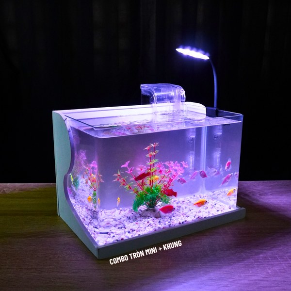 Bể cá mini Đúc uốn cong 30x18x20cm để bàn Với nhiều mẫu lựa chọn có kèm phụ kiện sỏi nền và cây nhựa