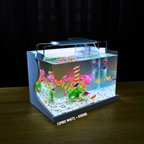 Bể cá mini Đúc uốn cong 30x18x20cm để bàn Với nhiều mẫu lựa chọn có kèm phụ kiện sỏi nền và cây nhựa