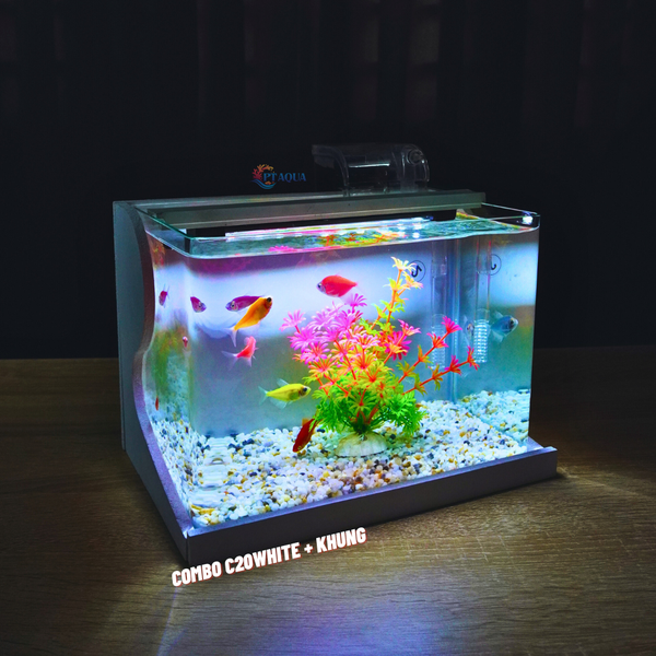 Bể cá mini Đúc uốn cong 25x16x18cm để bàn Với nhiều mẫu lựa chọn có kèm phụ kiện sỏi nền và cây nhựa