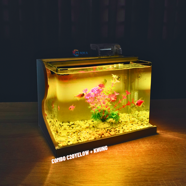 Bể cá mini Đúc uốn cong 25x16x18cm để bàn Với nhiều mẫu lựa chọn có kèm phụ kiện sỏi nền và cây nhựa