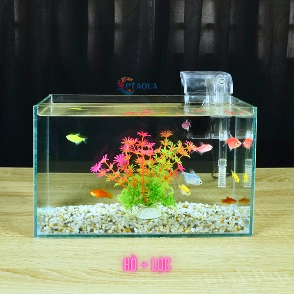 Bể cá mini để bàn DỄ THƯƠNG sành điệu trang trí đẹp mắt