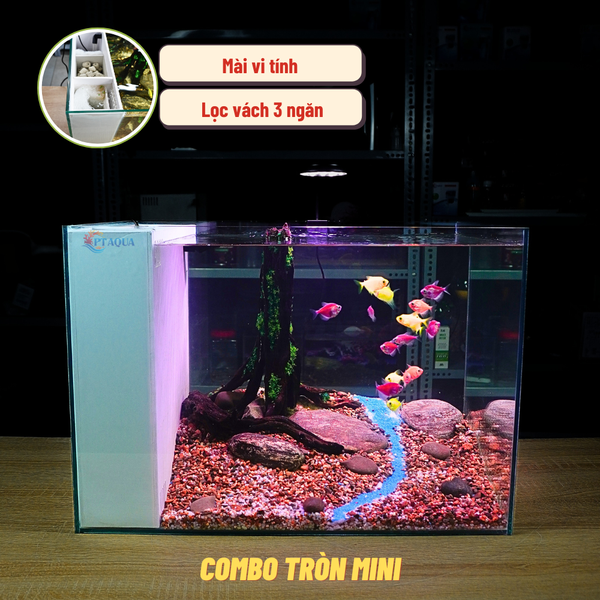 Bể Cá Mini Lọc Vách Kích Thước 50x33x35cm Để Bàn Đầy Đủ Phụ Kiện Có Sẵn Bơm và Vật Liệu Lọc