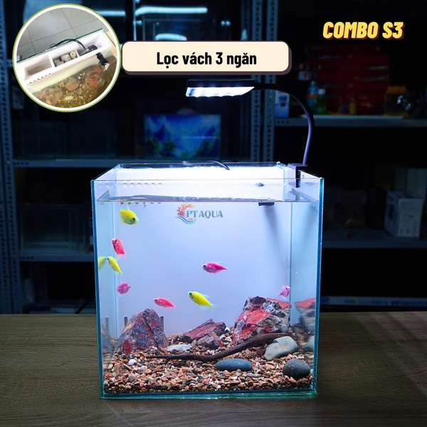 Bể Cá Mini Lọc Vách CUBIC 25 Để Bàn Đầy Đủ Phụ Kiện Có Sẵn Bơm và Vật Liệu Lọc