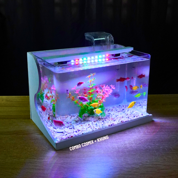 Bể cá mini Đúc uốn cong 30x18x20cm để bàn Với nhiều mẫu lựa chọn có kèm phụ kiện sỏi nền và cây nhựa