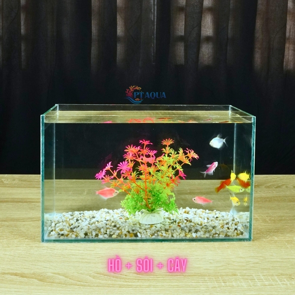 Bể Cá Mini Mài Cạnh Vi Tính Kích Thước 30x15x18cm - Thích Hợp Nuôi Cá Cảnh Để Bàn