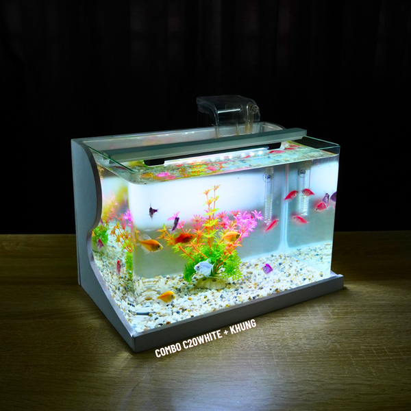 Bể cá mini Đúc uốn cong 30x18x20cm để bàn Với nhiều mẫu lựa chọn có kèm phụ kiện sỏi nền và cây nhựa