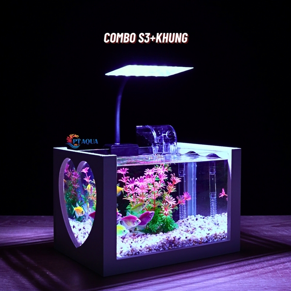 Bể cá mini để bàn 22x15x15cm CHỌN MẪU với nhiều mầu có kèm phụ kiện