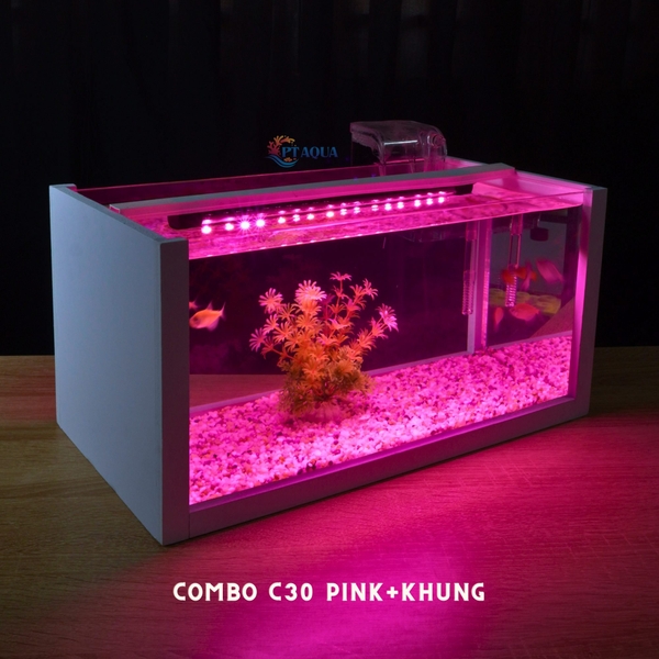 Bể cá mini để bàn 40x20x20cm nhiều mẫu phù hợp nuôi cá cảnh mini nhỏ nhỏ để bàn