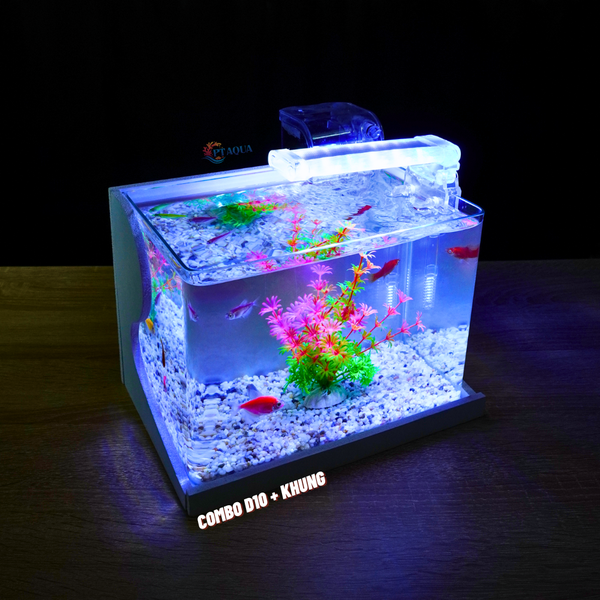 Bể cá mini Đúc uốn cong 25x16x18cm để bàn Với nhiều mẫu lựa chọn có kèm phụ kiện sỏi nền và cây nhựa
