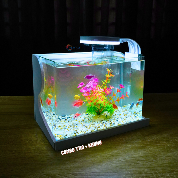 Bể cá mini Đúc uốn cong 25x16x18cm để bàn Với nhiều mẫu lựa chọn có kèm phụ kiện sỏi nền và cây nhựa
