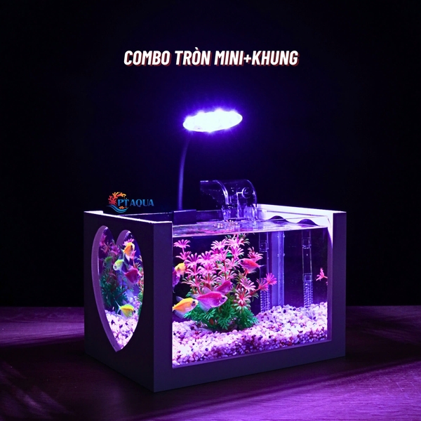 Bể cá mini để bàn 22x15x15cm CHỌN MẪU với nhiều mầu có kèm phụ kiện