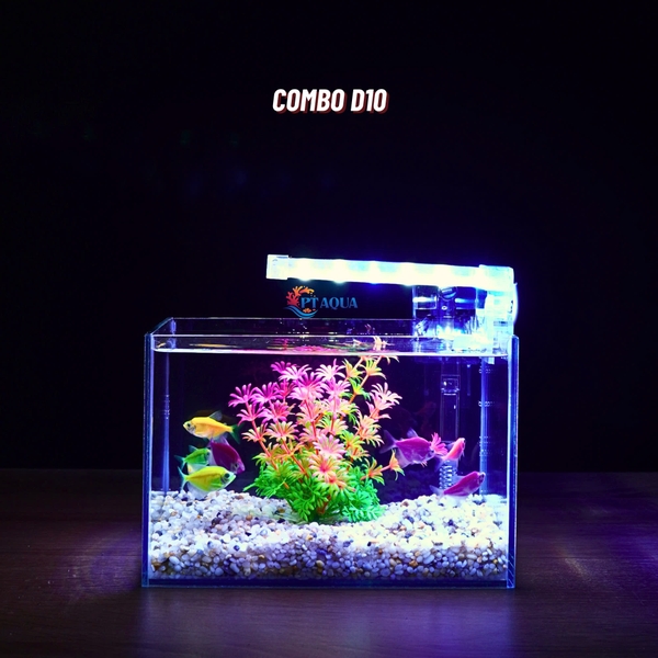 Bể cá mini để bàn 22x15x15cm CHỌN MẪU với nhiều mầu có kèm phụ kiện