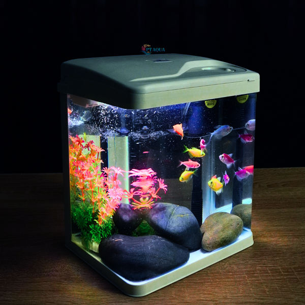 Bể Cá Mini Kính Đúc 20cm tích hợp LỌC và ĐÈN , Dài 20cm Rộng 15cm Cao 23cm