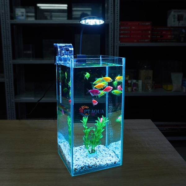 Bể Cá Mini Để Bàn Trụ Đứng 15x15x30cm Phù Hợp Nuôi Cá Cảnh Mini