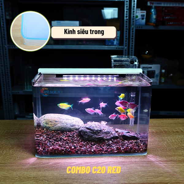 Bể Cá Mini Để Bàn ĐÚC SIÊU TRONG 25x16x18cm Phù Hợp Nuôi Cá , Làm Hồ Thuỷ Sinh Mini