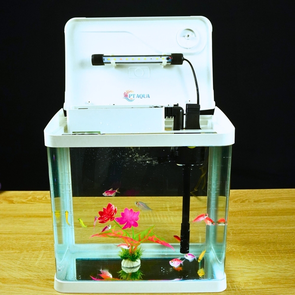 Bể Cá Kính Đúc 30cm tích hợp LỌC và ĐÈN , Dài 30cm Rộng 19.5cm Cao 32cm