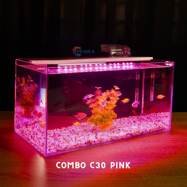 Bể cá mini 40x20x20cm Nhiều Mẫu Để Bàn Đẹp Phù Hợp Nuôi Cá Cảnh Nhỏ