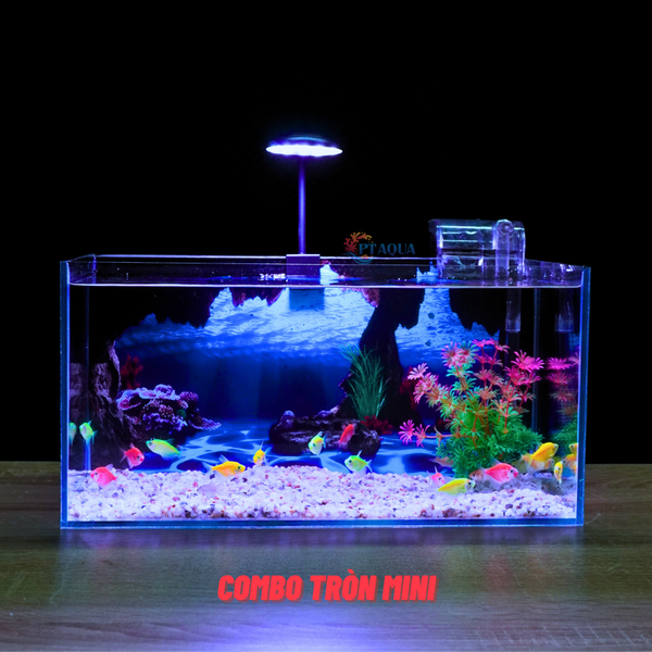Bể cá Mini Để Bàn Có Tranh Dán  Kích Thước D40cm x R20cm x C20cm  Giúp Hồ Cá Đẹp Hơn