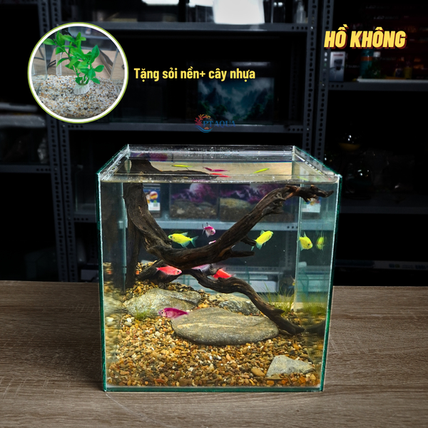 Bể cá mini CUBIC 25cm để bàn