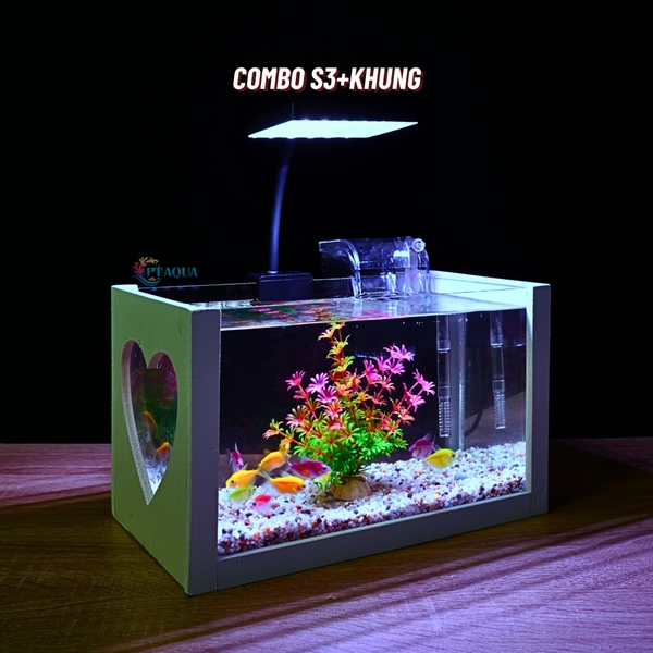 Bể cá mini để bàn COMBO giá rẻ đầy đủ phụ kiện