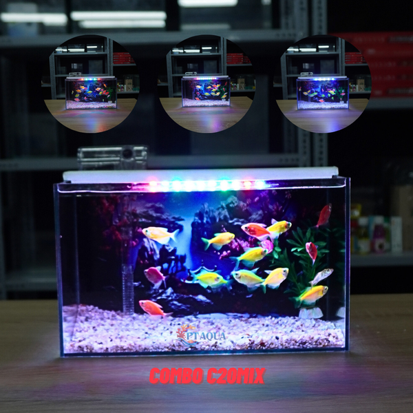 Bể Cá Mini Để Bàn Dán Sẵn Tranh Kích Thước 30x15x18cm Phù Hợp Nuôi Cá Cảnh Mini Để Bàn