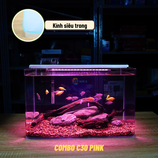 Bể Cá Mini Để Bàn ĐÚC SIÊU TRONG 35x21x23cm Phù Hợp Nuôi Cá , Làm Hồ Thuỷ Sinh Mini