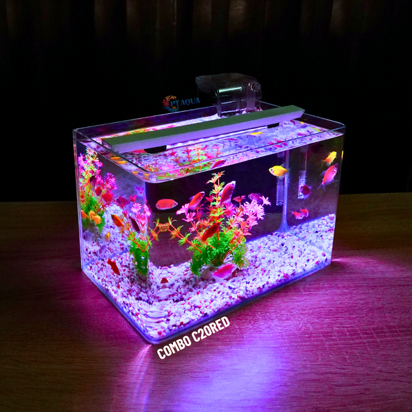 Bể cá mini Đúc uốn cong 30x18x20cm để bàn Với nhiều mẫu lựa chọn có kèm phụ kiện sỏi nền và cây nhựa