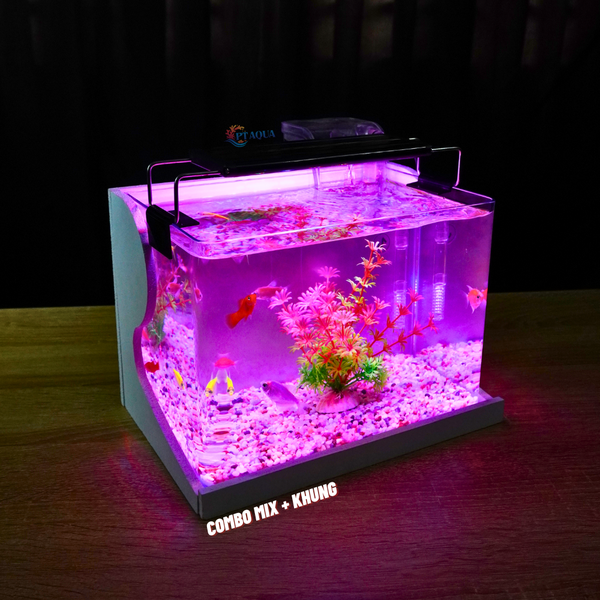 Bể cá mini Đúc uốn cong 25x16x18cm để bàn Với nhiều mẫu lựa chọn có kèm phụ kiện sỏi nền và cây nhựa