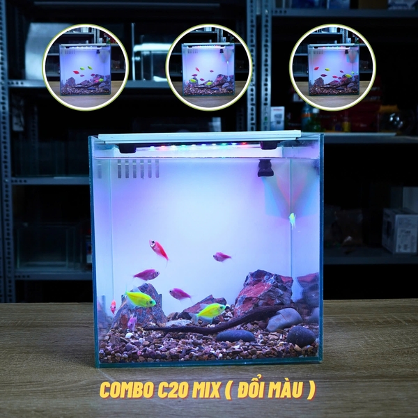 Bể Cá Mini Lọc Vách CUBIC 25 Để Bàn Đầy Đủ Phụ Kiện Có Sẵn Bơm và Vật Liệu Lọc
