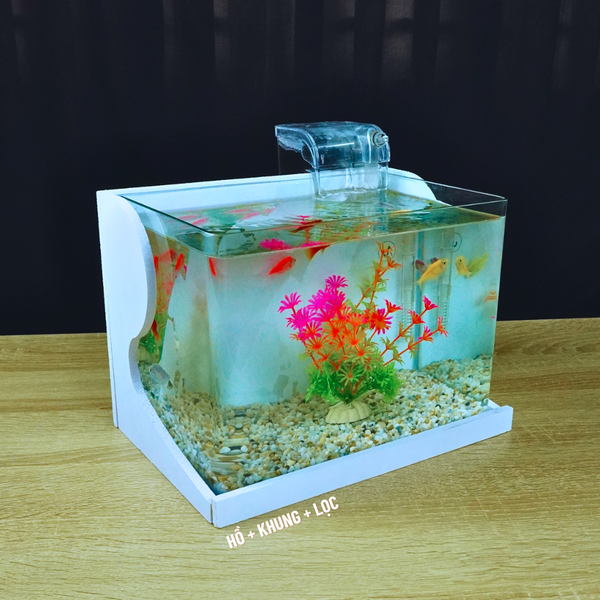 Bể cá mini Đúc uốn cong 25x16x18cm để bàn Với nhiều mẫu lựa chọn có kèm phụ kiện sỏi nền và cây nhựa