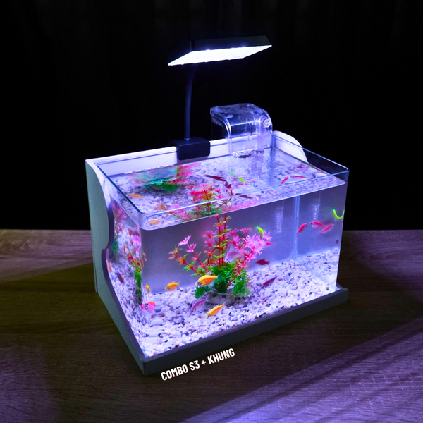 Bể cá mini Đúc uốn cong 30x18x20cm để bàn Với nhiều mẫu lựa chọn có kèm phụ kiện sỏi nền và cây nhựa