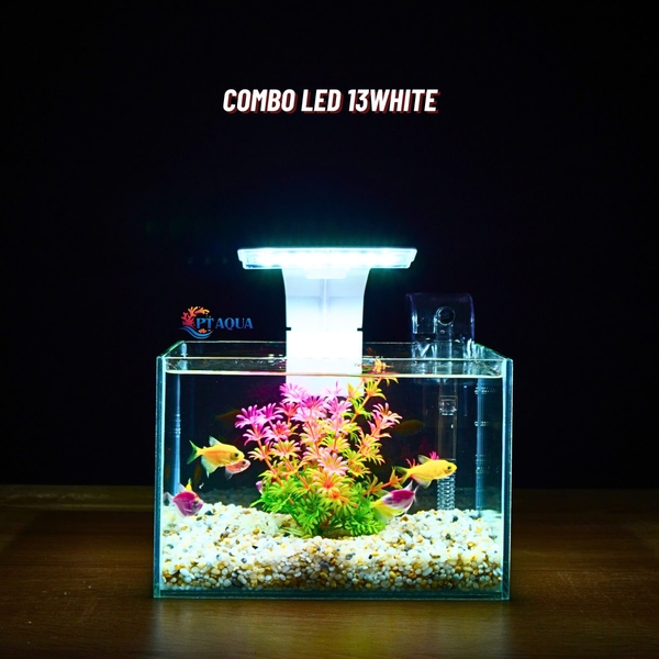 Bể cá mini để bàn 22x15x15cm CHỌN MẪU với nhiều mầu có kèm phụ kiện