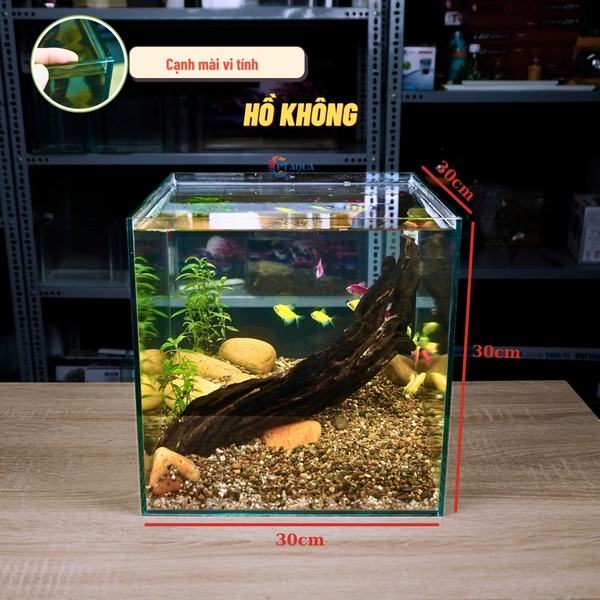 Bể Cá Mini Để Bàn CUBIC 30CM Nhiều Mẫu Phù Hợp Nuôi Cá Để Bàn , Làm Hồ Thuỷ Sinh