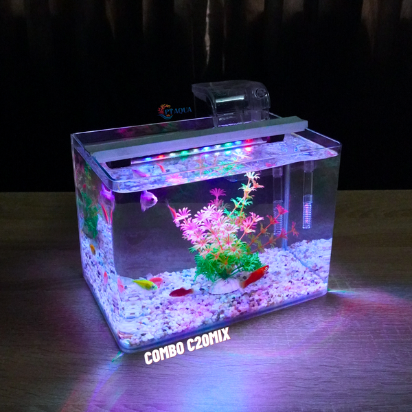 Bể cá mini Đúc uốn cong 25x16x18cm để bàn Với nhiều mẫu lựa chọn có kèm phụ kiện sỏi nền và cây nhựa
