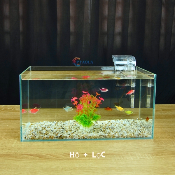 Bể cá mini 40x20x20cm Nhiều Mẫu Để Bàn Đẹp Phù Hợp Nuôi Cá Cảnh Nhỏ