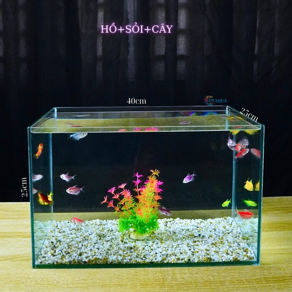 Bể cá mini để bàn D40*R25*C25 phù hợp nuôi cá cảnh mini thủy sinh phong thủy