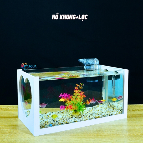 Bể cá mini để bàn 40x20x20cm nhiều mẫu phù hợp nuôi cá cảnh mini nhỏ nhỏ để bàn