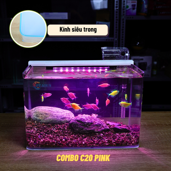 Bể Cá Mini Để Bàn ĐÚC SIÊU TRONG 30x18x20cm Phù Hợp Nuôi Cá , Làm Hồ Thuỷ Sinh Mini