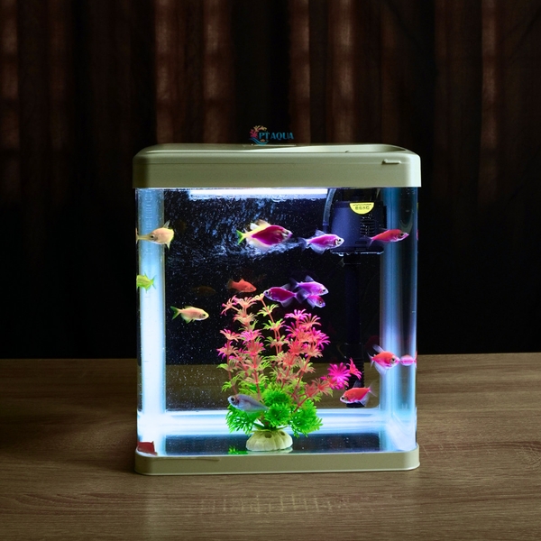 Bể Cá Mini Đúc Nguyên Khối 24cm Combo Đầy Đủ Phụ Kiện