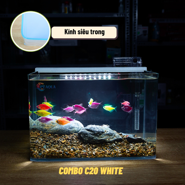 Bể Cá Mini Để Bàn ĐÚC SIÊU TRONG 25x16x18cm Phù Hợp Nuôi Cá , Làm Hồ Thuỷ Sinh Mini